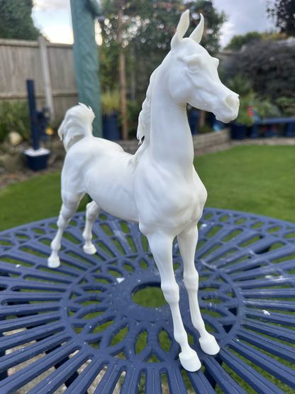 Arabian Foal Resin Model – Unpainted 3D Print | ABS White Resin