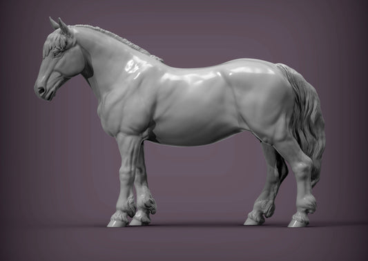 Percheron Horse (Standing Pose) – Unpainted 3D Print | ABS White Resin
