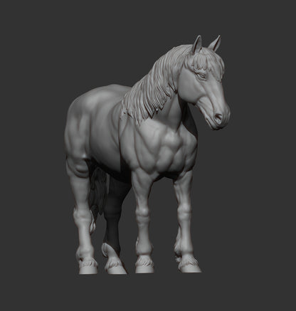 Percheron Horse (Standing Pose) – Unpainted 3D Print | ABS White Resin