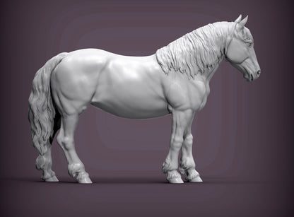 Percheron Horse (Standing Pose) – Unpainted 3D Print | ABS White Resin