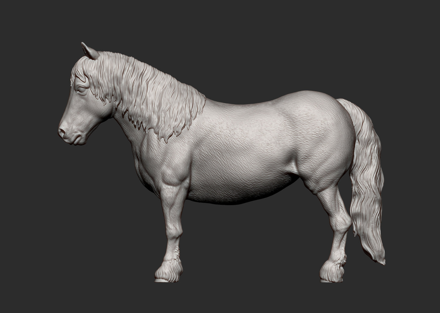 Pony – Unpainted 3D Print | ABS White Resin