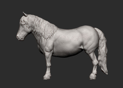 Pony – Unpainted 3D Print | ABS White Resin