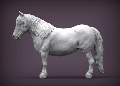 Pony – Unpainted 3D Print | ABS White Resin