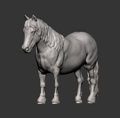 Pony – Unpainted 3D Print | ABS White Resin